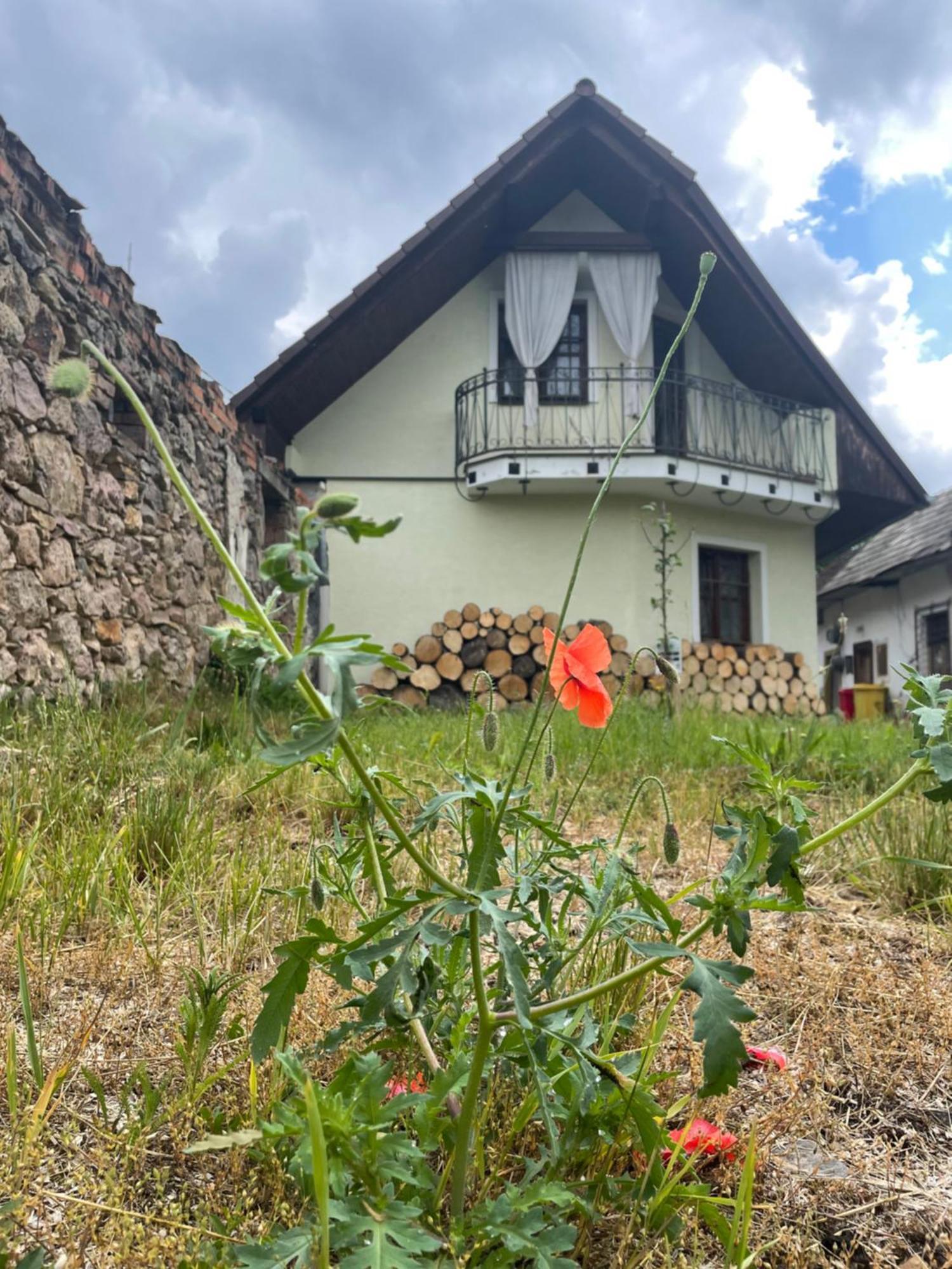 V Hliniku Vidiecky dom Hlinik nad Hronom